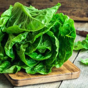 Lechuga costina