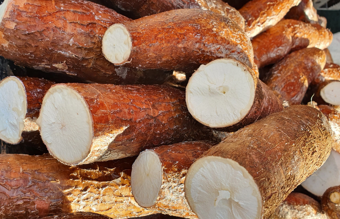 como se prepara la yuca