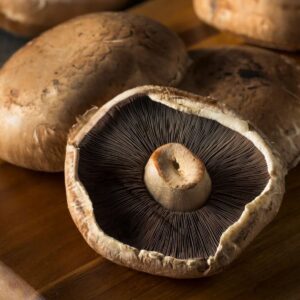 Champiñon Portobello