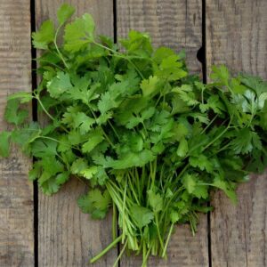 Cilantro